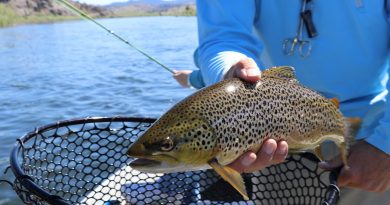 Catch of the Week