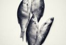 dead baiting for pike