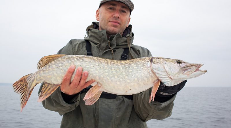 pike fishing in ireland